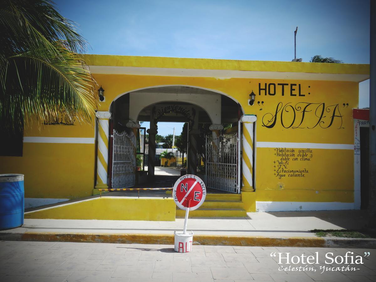 Hotel Sofia Celestun Exteriér fotografie